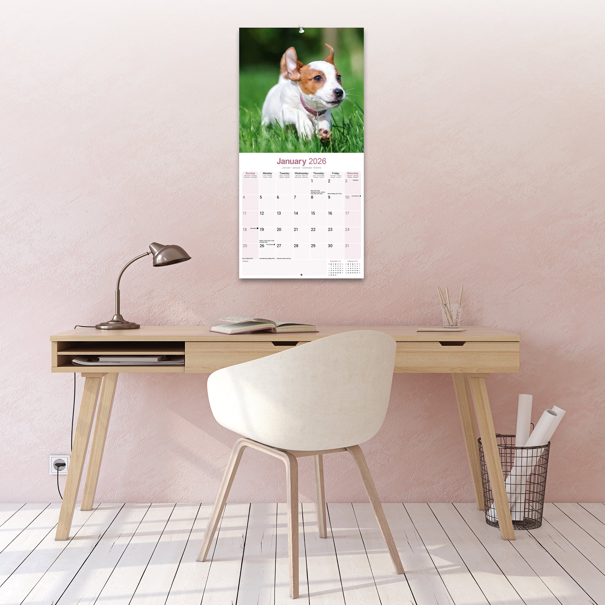 Jack Russell 2026 Calendar | Dog Breed Gift - View #7
