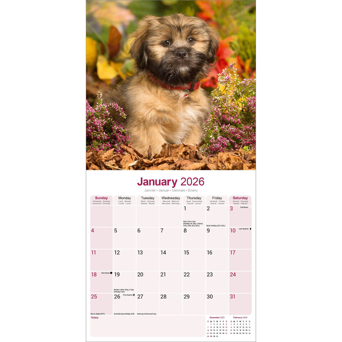 2026 Lhasa Apso Calendar - Dog Breed Wall Calendar - 12 X 24 Open - Thick No