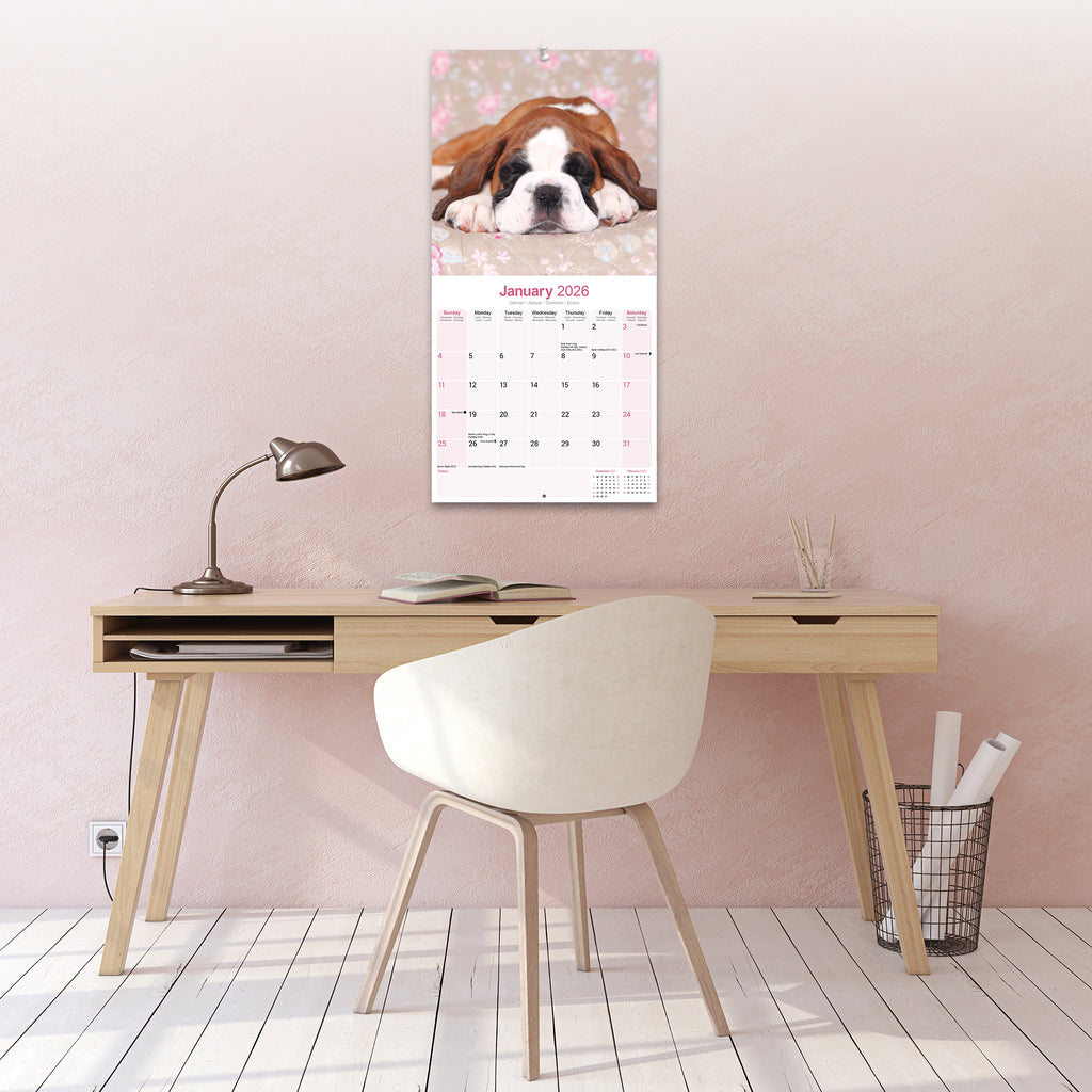 Boxer Puppies Calendar 2026 Avonside Publishing Ltd