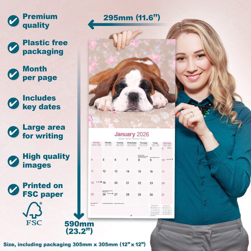 Boxer Puppies Calendar 2026 Avonside Publishing Ltd