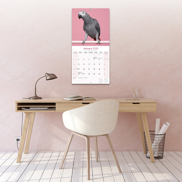 African Greys Calendar 2026
