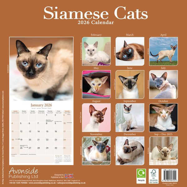 Siamese Cats Calendar 2026