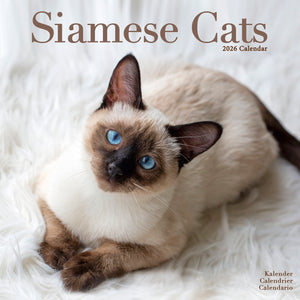 Siamese Cats Calendar 2026
