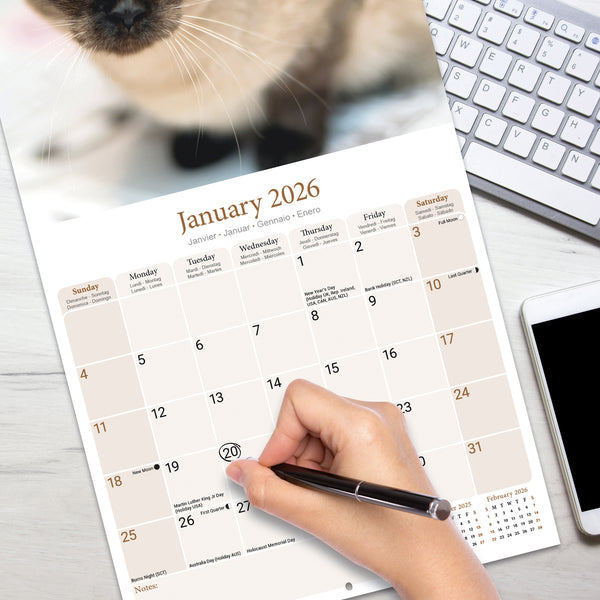 Siamese Cats Calendar 2026