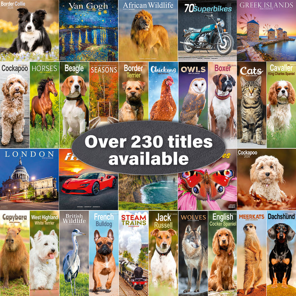 Siamese Cats Calendar 2026