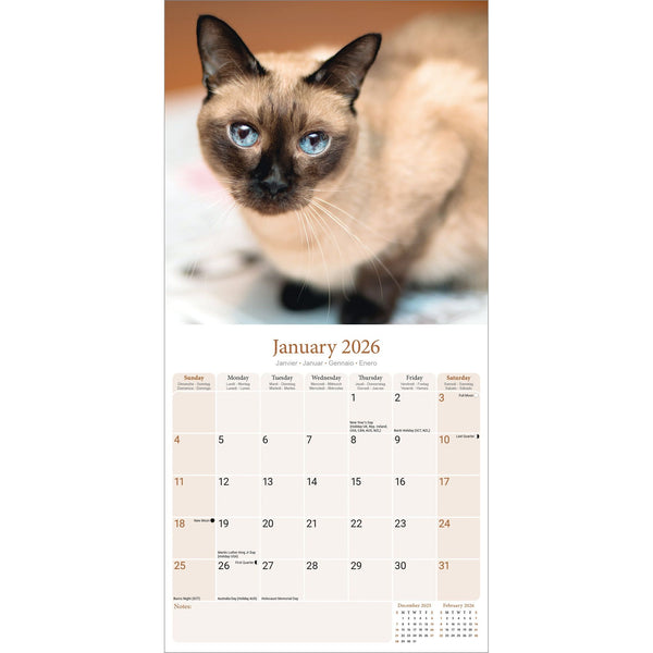 Siamese Cats Calendar 2026