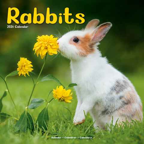 Rabbits Calendar 2026