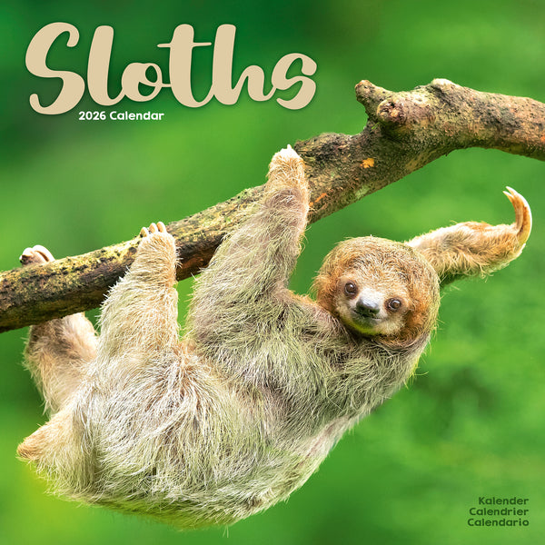 Sloths Calendar 2026
