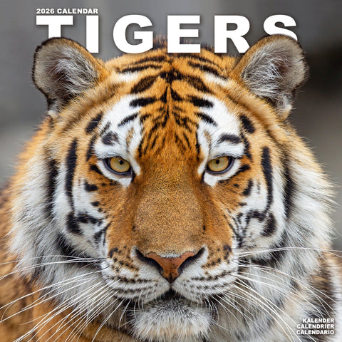 Tigers Calendar 2026