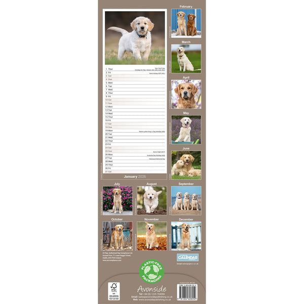 2026 Calendar Single Page Capybara Theme| Desk Calendar | Wall Calendar | 2026 Planner | New Year Calendar | Capybara Cute Planner