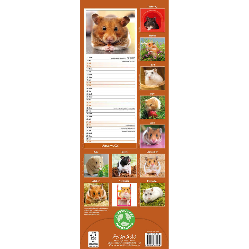 Hamsters Calendar 2026 Slimline Avonside Publishing Ltd