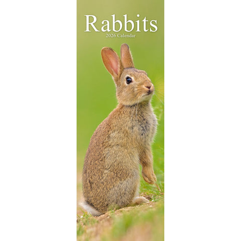 Rabbits Calendar 2026 Slimline