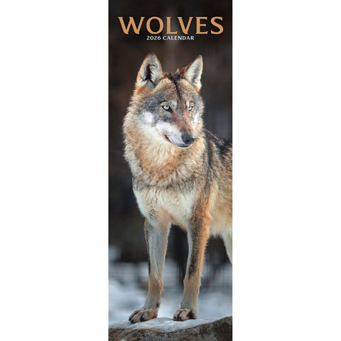Wolves Calendar 2026 Slimline