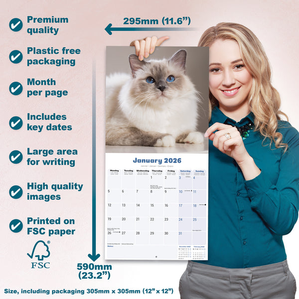 Ragdoll Cats Calendar 2026