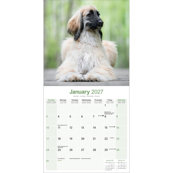 Afghan Calendar 2027