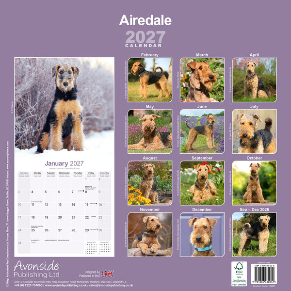 Airedale Calendar 2027