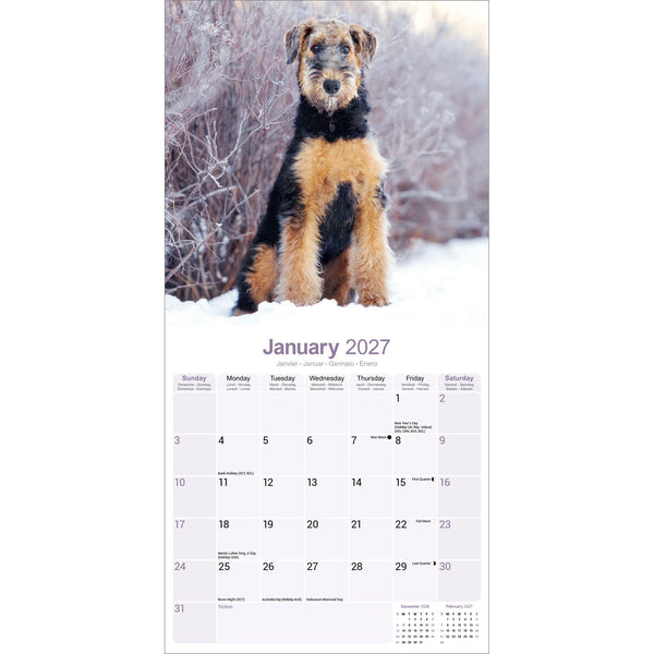 Airedale Calendar 2027