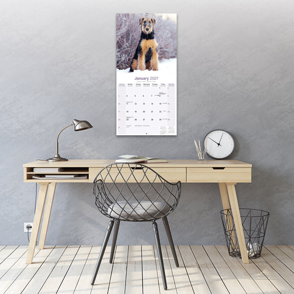 Airedale Calendar 2027