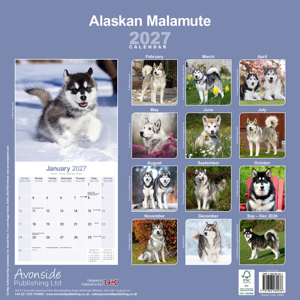 Alaskan Malamute Calendar 2027