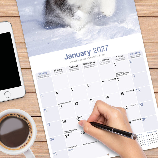 Alaskan Malamute Calendar 2027