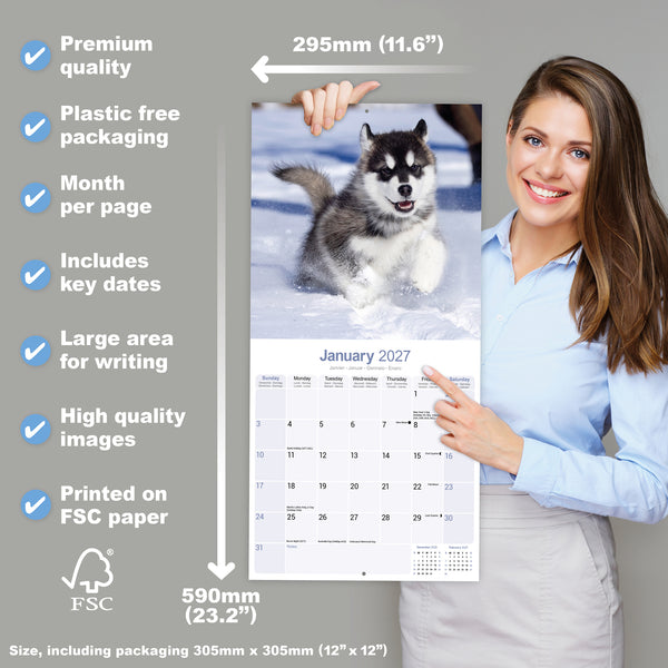 Alaskan Malamute Calendar 2027