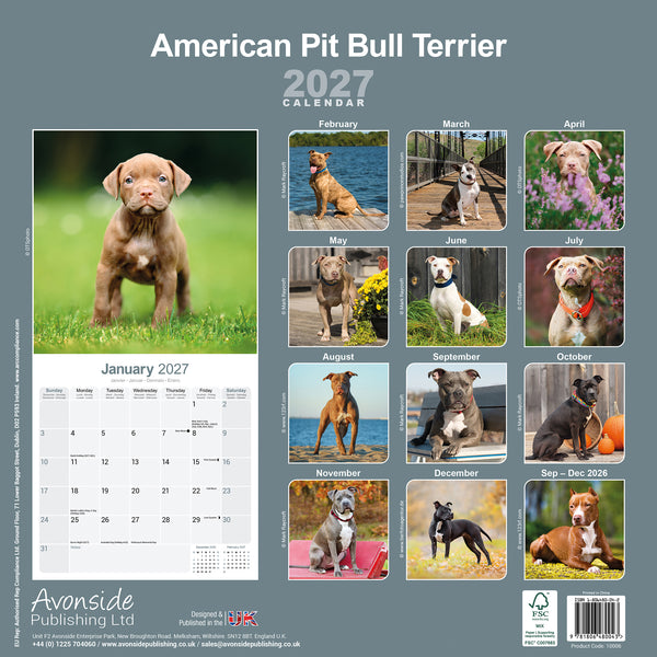 American Pit Bull Terrier Calendar 2027