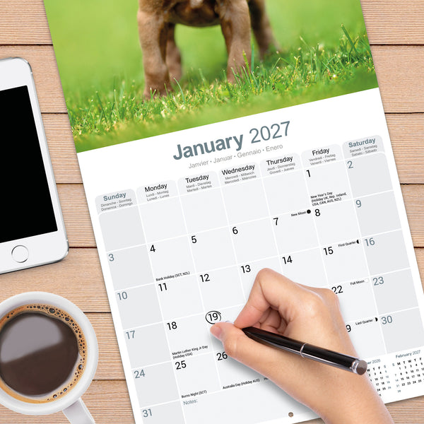 American Pit Bull Terrier Calendar 2027