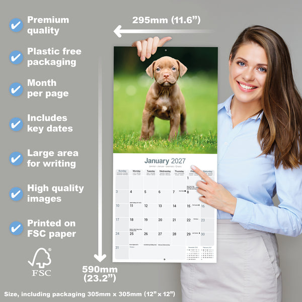 American Pit Bull Terrier Calendar 2027