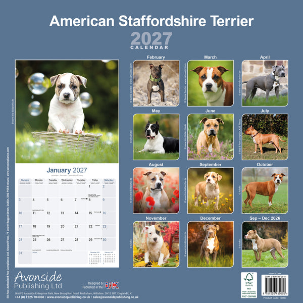 American Staffordshire Terrier Calendar 2027