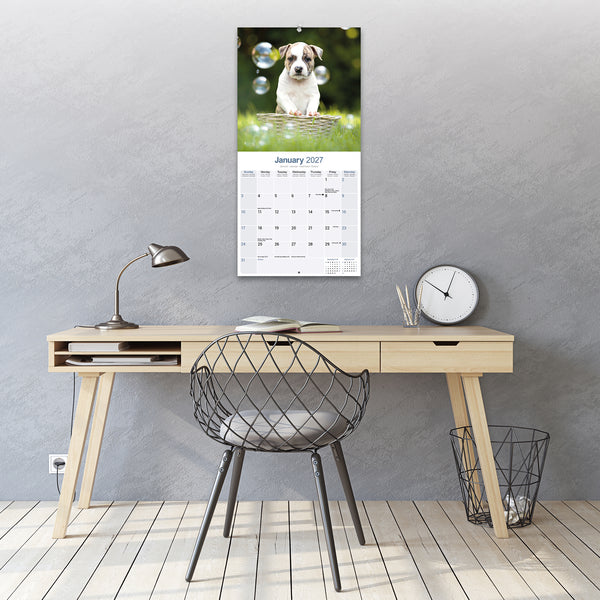 American Staffordshire Terrier Calendar 2027