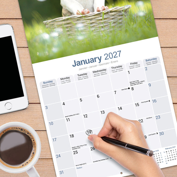 American Staffordshire Terrier Calendar 2027