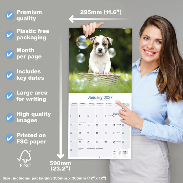 American Staffordshire Terrier Calendar 2027