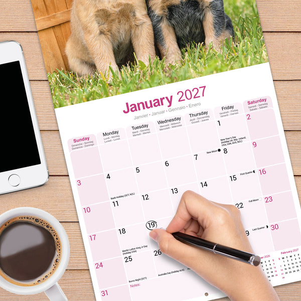 Australian Cattle Dog Calendar 2027