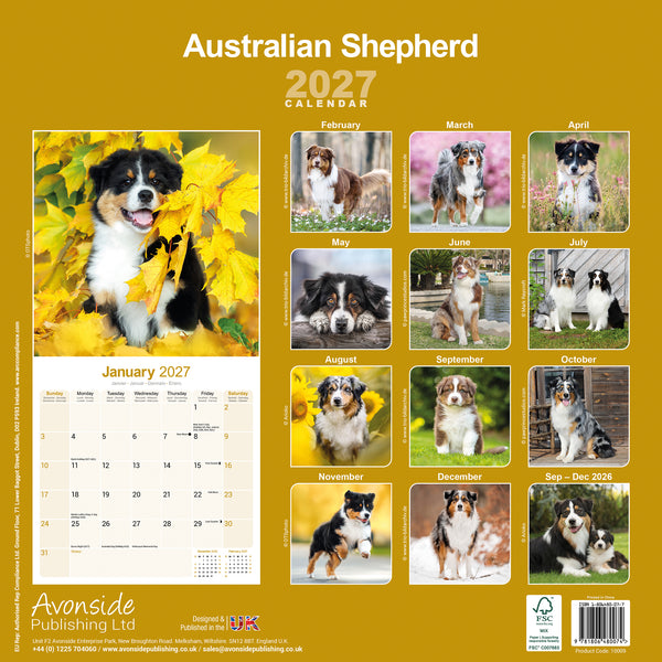 Australian Shepherd Calendar 2027