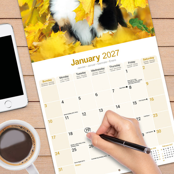 Australian Shepherd Calendar 2027