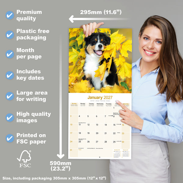 Australian Shepherd Calendar 2027