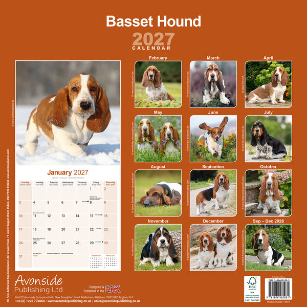 Basset Hound Calendar 2027