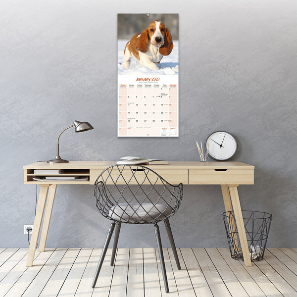 Basset Hound Calendar 2027