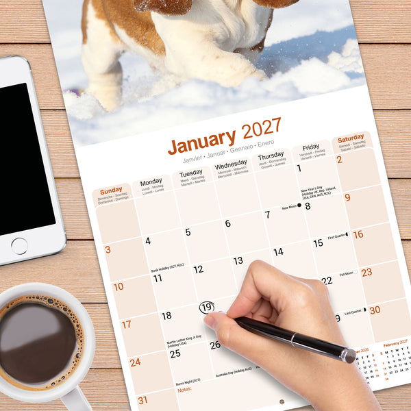 Basset Hound Calendar 2027