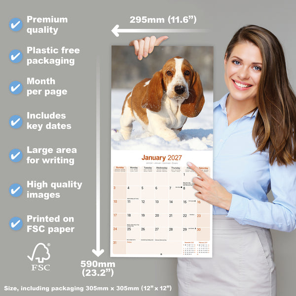 Basset Hound Calendar 2027