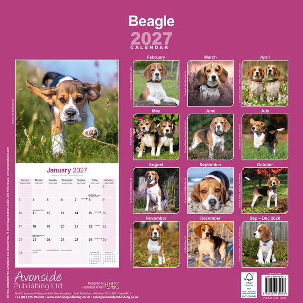 Beagle Calendar 2027