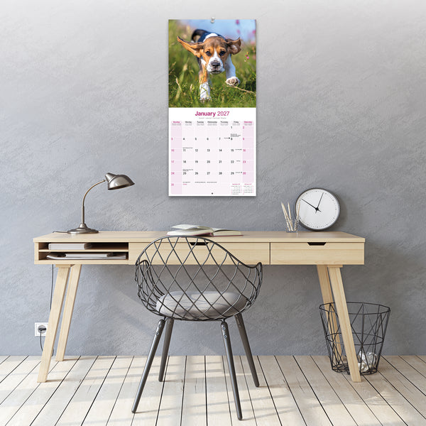 Beagle Calendar 2027