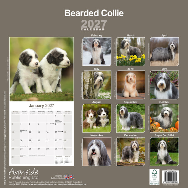 Bearded Collie Calendar 2027