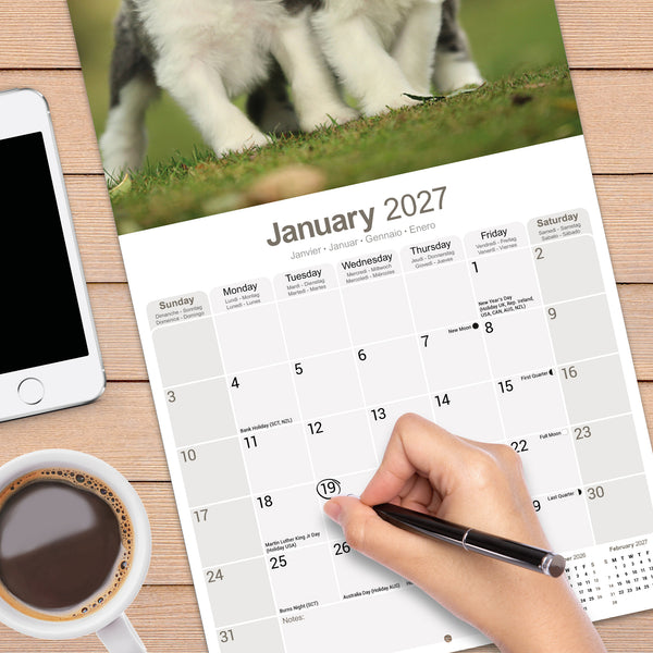 Bearded Collie Calendar 2027