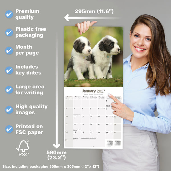 Bearded Collie Calendar 2027