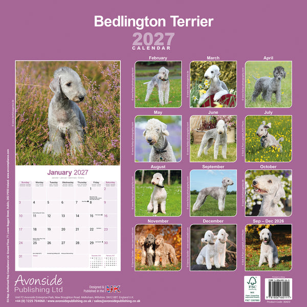 Bedlington Terrier Calendar 2027