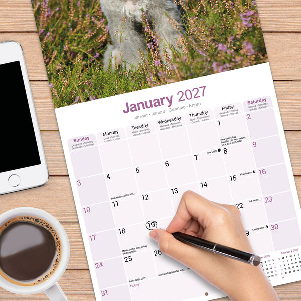 Bedlington Terrier Calendar 2027