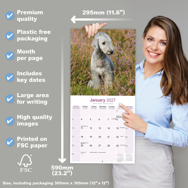 Bedlington Terrier Calendar 2027