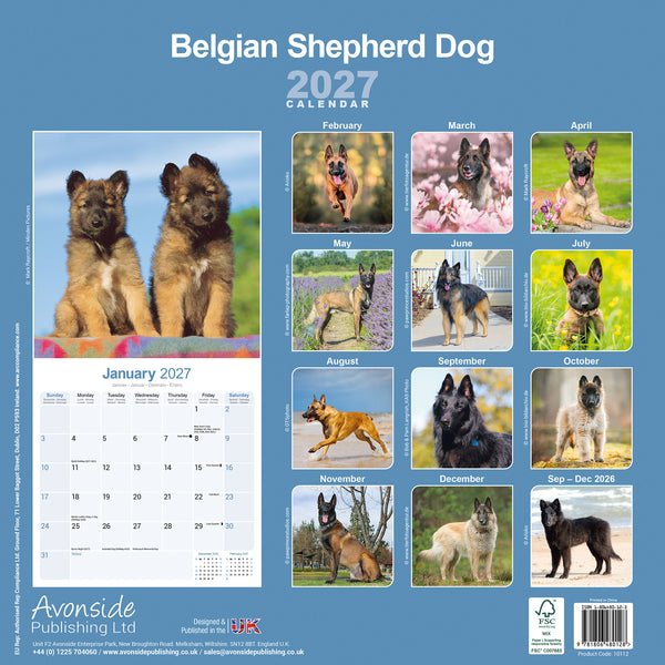 Belgian Shepherd Dog Calendar 2027