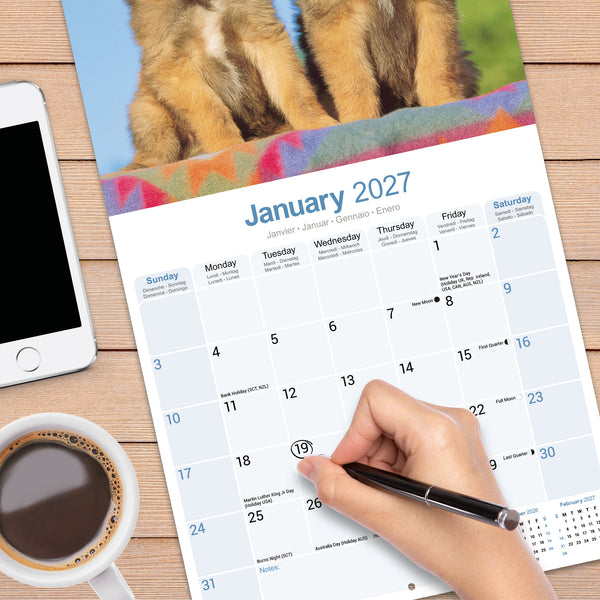 Belgian Shepherd Dog Calendar 2027